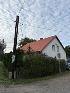 Przycinanie thuj Wodzisław Śląski