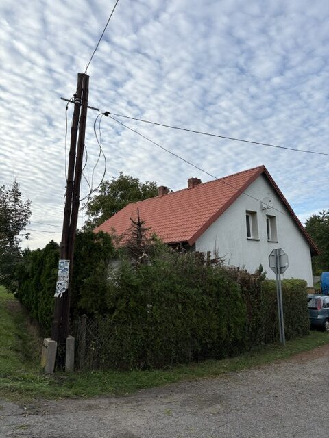 Przycinanie thuj Wodzisław Śląski