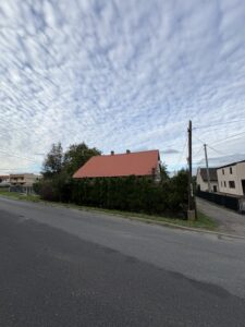 Przycinanie thuj Wodzisław Śląski