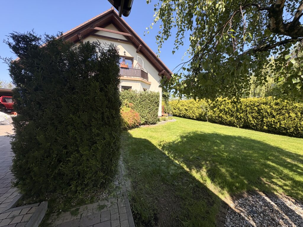 Przycinanie tui Skoczów