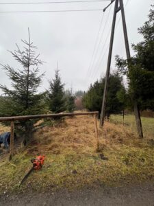 Wycinka drzew Skoczów