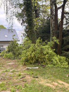 Przycinanie drzew i pielęgnacja Katowice Brynów Ochojec Ligota Muchowiec Załęże