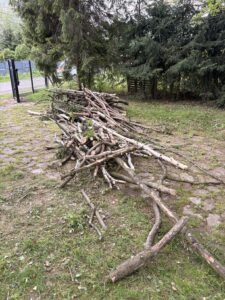Przycinanie drzew i pielęgnacja Katowice Brynów Ochojec Ligota Muchowiec Załęże